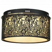 Накладной светильник Lussole Vetere GRLSF-2377-07