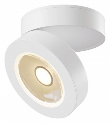 Накладной светильник Maytoni Magic C022CL-L12W. Фото №2