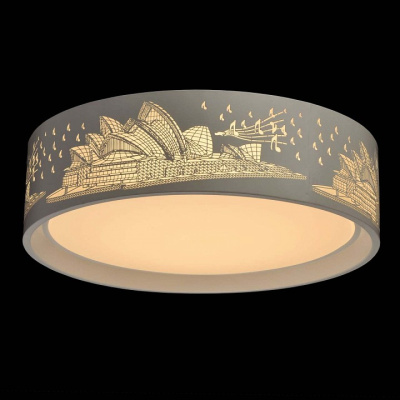 Накладной светильник MW-Light Ривз 674016001. Фото №2