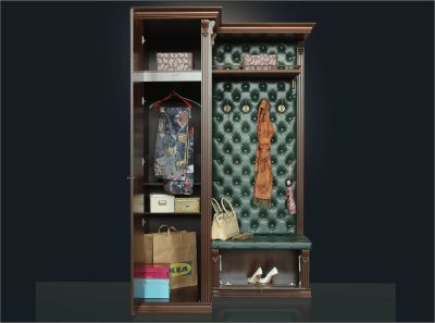 Прихожая Благо 5 Б 5.8-6. Фото №4