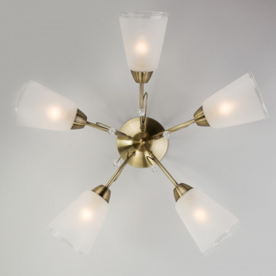 Потолочная люстра Eurosvet Patrice 30150/5 античная бронза фото Потолочная люстра Eurosvet Patrice 30150/5 античная бронза. Фото №2