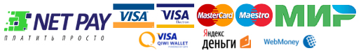 Net Pay